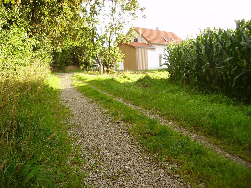 Wiflinger Graben Einfamilienhaus Villa Worth Luaran gambar